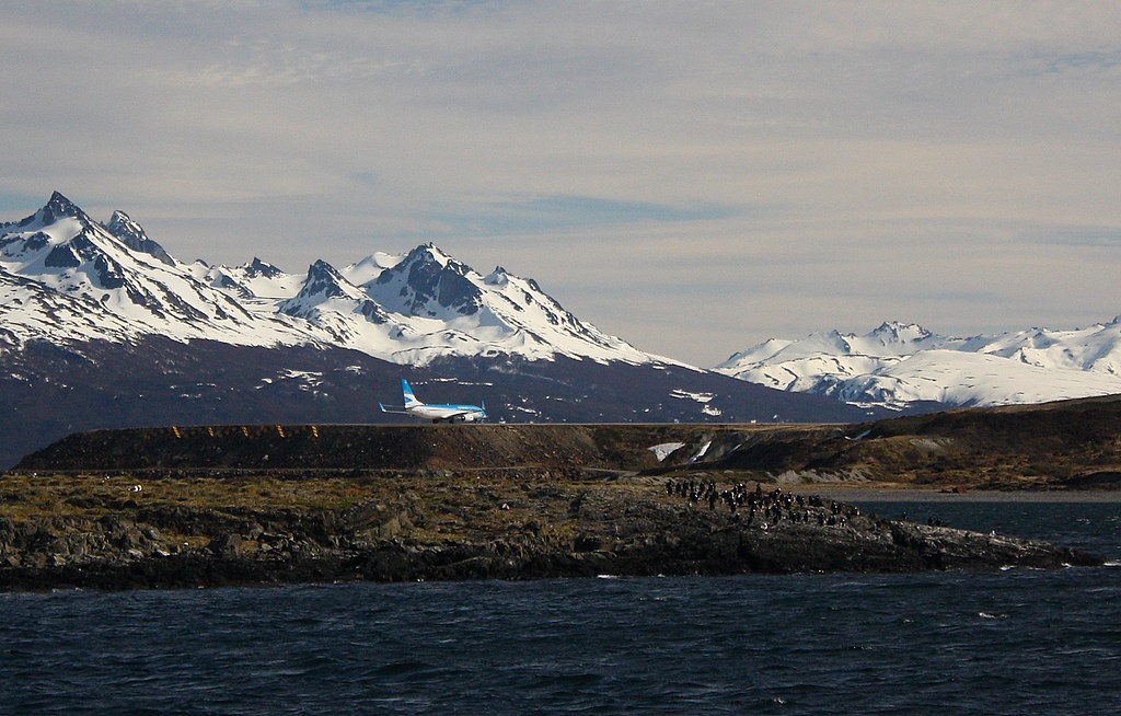 Ushuaia Penguins