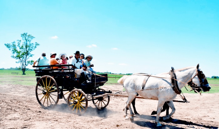 Argentina Buenos Aires Horse and cart in Caminito La Boca Stock Photo -  Alamy