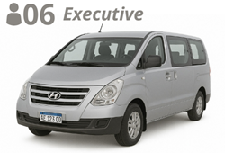 MINIVAN, up to 6 passengers with luggage