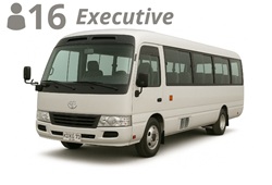 MINIBUS, up to 16 passengers with luggage