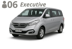 MINIVAN, up to 6 passengers with luggage