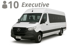 VAN, up to 10 passengers with luggage