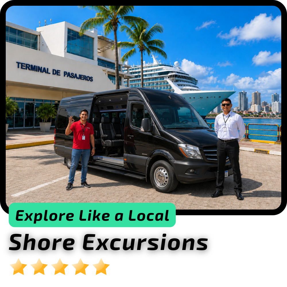Shore Excursions Airport Transfers South America