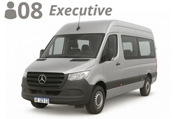 VAN, up to 8 passengers with luggage