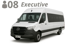VAN, up to 8 passengers with luggage & Ski Gear