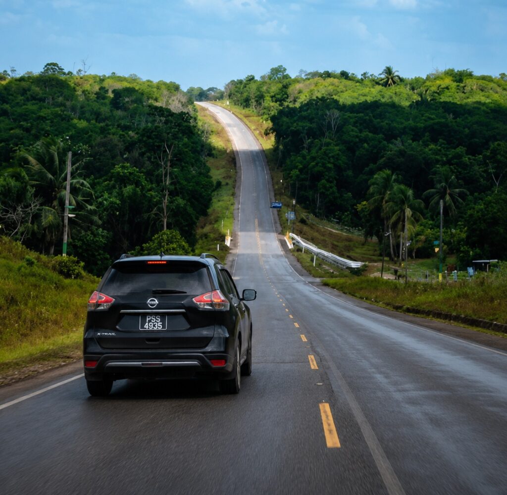 Guyana Long Distance Transfers