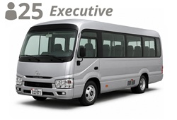 MINIBUS, up to 25 passengers with luggage