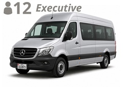 VAN STRETCH, up to 12 passengers with luggage